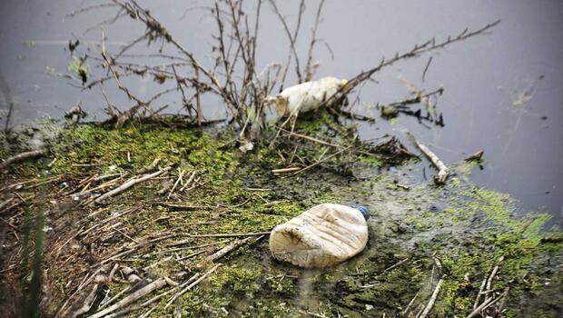 Ergene Nehri’nin suyu 3’üncü derece kirli