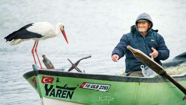 Yaren leyleğin 4 yavrusu oldu