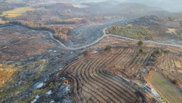 Çanakkale'de orman yangını sonrası acı görüntü