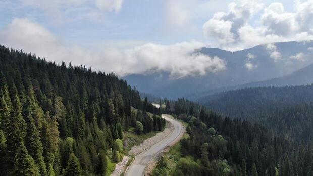 Kastamonu'da ormanlık alanlara giriş ve çıkışlar yasaklandı