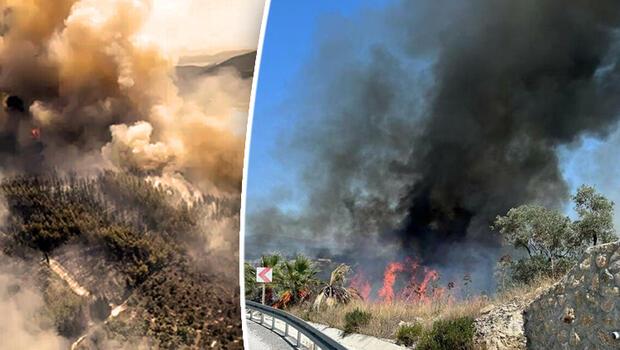 Muğla'nın Milas ilçesinde 160 hektar alan kül olmuştu! Yangının çıkış sebebi pes dedirtti