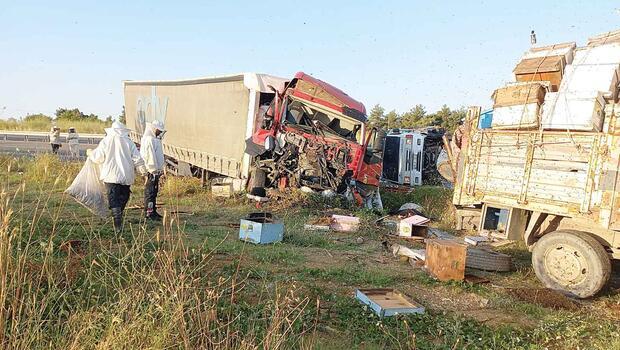 TIR arı yüklü kamyonetlere daldı: 4 ölü 1 yaralı