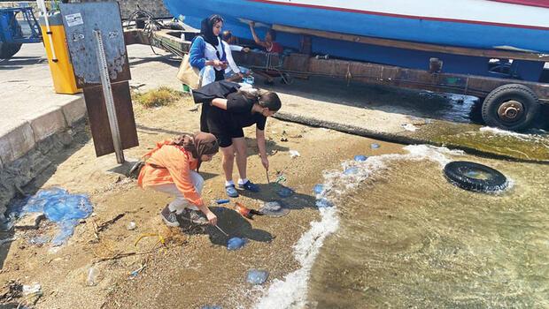 Foça’yı denizanaları istila etti