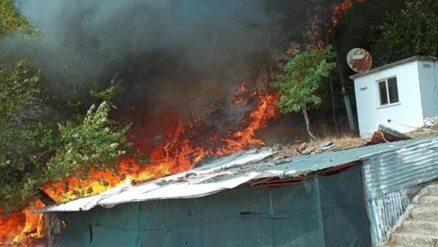 Çanakkale Ayvacık'da orman yangını! Havadan ve karadan müdahale ediliyor.