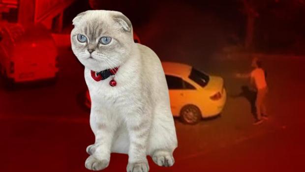 Esenyurt'taki kedi kavgasında kurşunlar havada uçuştu, motokurye yaralandı