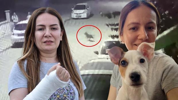 Pitbull'dan köpeğini korumak isterken dehşeti yaşadı