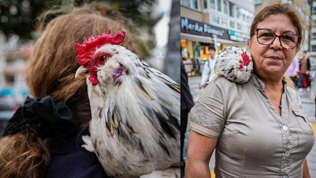 'Horoz bıdık' sahibinin omuzundan hiç inmiyor