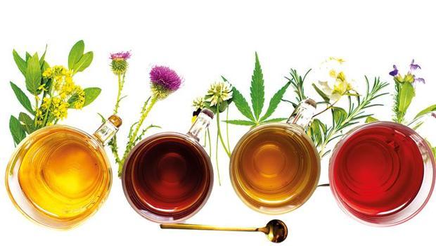 Bergamalı Galen’in 2 bin yıllık şifa reçeteleri