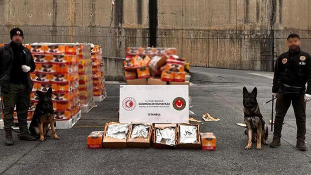 İstanbul'da uyuşturucu operasyonu: Hurma yüklü konteynerde 22.5 kilogram metamfetamin ele geçirildi