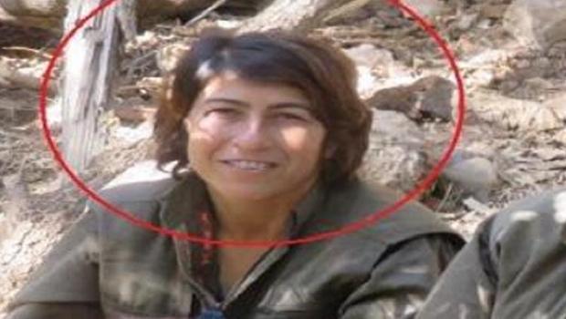 MİT'ten Kamışlı'da nokta operasyon: YPG-YPJ'nin sözde sorumlusu etkisiz hale getirildi