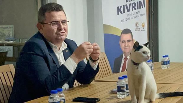 Kedi masaya çıktı, başkan adayının anlattığı proje dikkat çekti