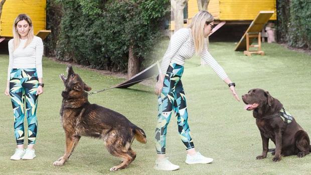 Sokak köpeği saldırısından nasıl korunuruz... Gözlerine bakmayın, sabit kalın, kaçmayın