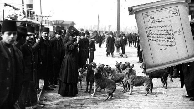 İstanbul işgal günlerinde bile can dostlarına sahip çıktı