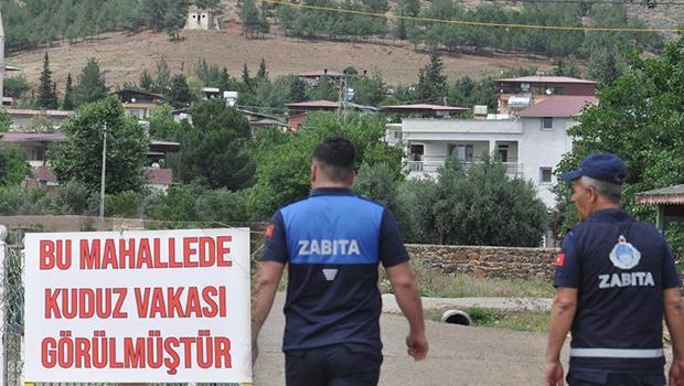 Mahallede kuduz alarmı: 6 ay karantina altında olacak