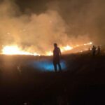 Şanlıurfa’da ormanlık alanda yangın