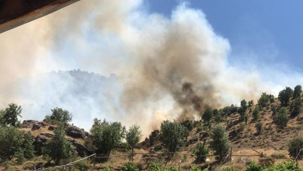 Adıyaman'da ormanlık alanda örtü yangını