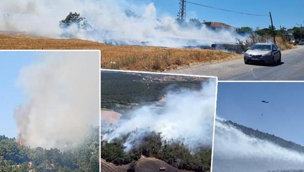 Çanakkale, Bursa, Denizli, Mardin ve Batman'da alevlerle mücadele! Rüzgarın etkisiyle büyüdü, antik kente sıçradı