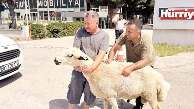 Yurttan kurban klasikleri