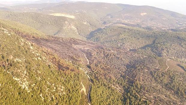 18 saat sonra söndürüldü... 1000 dönüm orman alanı kül oldu