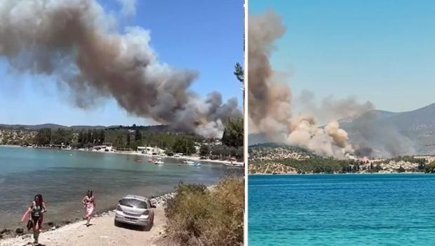 Muğla'daki orman yangınıyla ilgili üç kişi gözaltına alındı