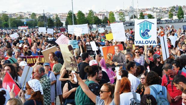 Hayvanseverler Yenikapı'da buluştu