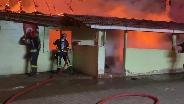 72 yaşındaki annesinin ilişkisinden şüphelenip dehşet saçmıştı... Kalp krizi geçiren kadın, oğlundan şikayetçi olmadı