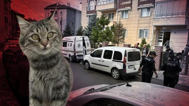 82 yaşındaki emekli öğretmen dehşet saçtı: Kedi kavgasında 1 kişi hayatını kaybetti