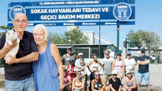 Didim’deki sokak köpekleri İngiliz çifte emanet: 200 köpeğe yurtdışında yeni hayat