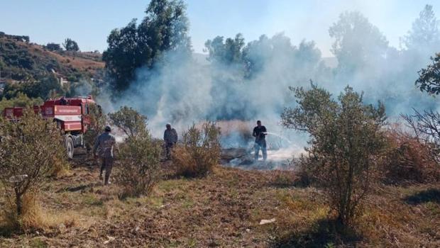 Hatay’da zeytinlikte yangın