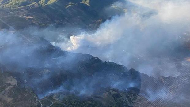 Muğla'da orman yangınları: Havadan ve karadan müdahale ediliyor