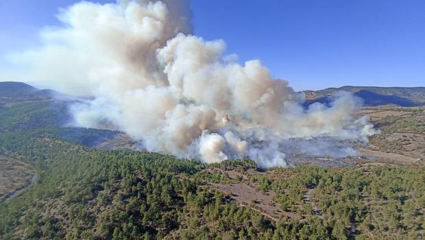 Bursa’nın Büyükorhan ve Karacabey ilçelerinde orman yangını