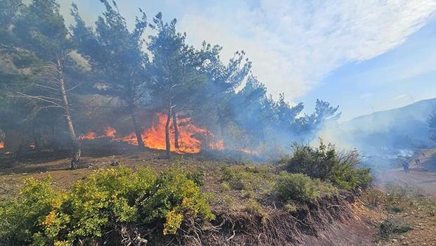 Hatay'da orman yangını: 20 saat sonra kontrol altına alındı! 95 hektar alan zarar gördü