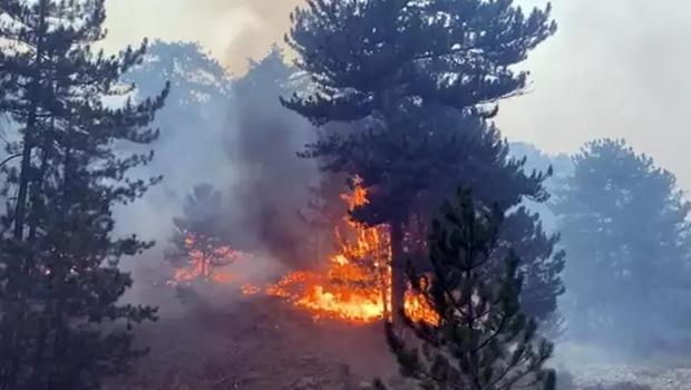 Bolu'da tarihinin en büyük orman yangını çıkmıştı! Söndürme çalışmaları 1 ay sürdü, maliyeti ise 780 milyon lira...