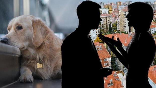 Evcil hayvan, kiracıyı tahliye nedeni olabilir mi? “Ev sahibim ‘Evimde köpek istemiyorum!’ diye bağırdı, komşularım da sürekli şikâyet ediyor” | Yönetim planındaki maddelere dikkat!