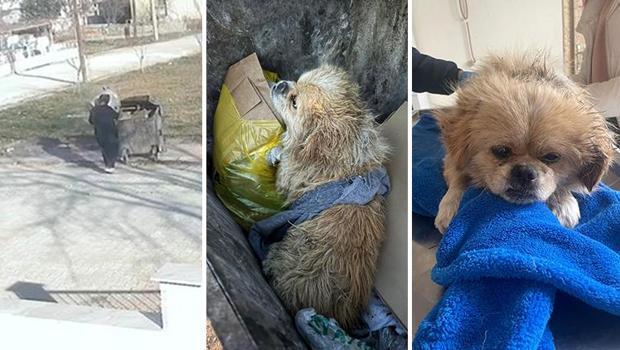 Büyük vicdansızlık! Ayağını bağladığı köpeği çöpe attı