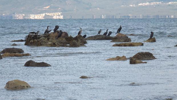 Deniz çekildi, 2 bin 500 yıllık antik liman ortaya çıktı