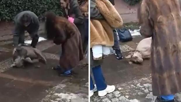 Kadıköy ve Beşiktaş'ta 'elektrik' dehşeti: Kaldırımda yürüyen köpekler akıma kapıldı, 1'i öldü