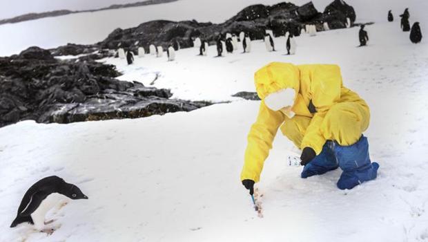 Türk bilim ekibinden penguenler eşliğinde araştırma