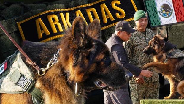 Türkiye'den hediye edilen yavru köpek büyüdü, onbaşı rütbesi aldı