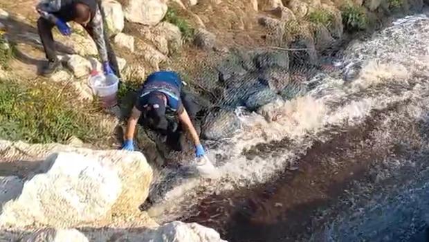 Bakanlıktan Ceyhan Nehri'ndeki balık ölümlerine inceleme