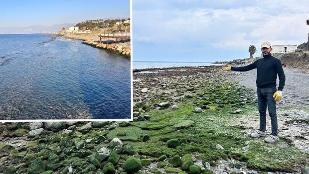Deniz 20 metre çekilmişti! Eski haline dönmeye başladı... İşte son durum
