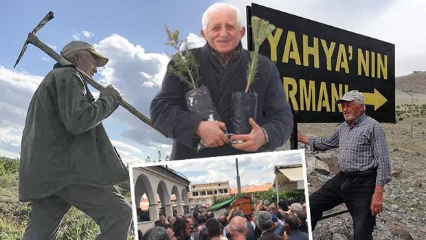 Film gibi hayatının arkasında acıklı bir hikaye vardı... Rahim Dede, elleriyle kurduğu ormana defnedildi