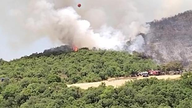 Bursa'da ormanlık alanda alevler yükseldi