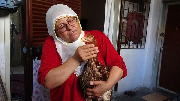 Çocuk gibi ağlayan tavuğunu kesmeye kıyamadı: İyileşmesi için veteriner aramaya başladı