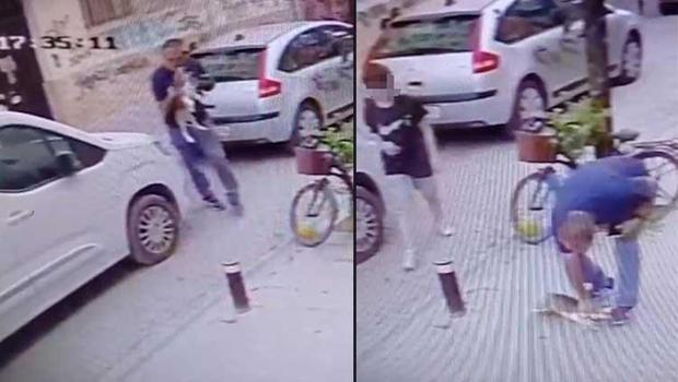 Eskişehir'de korkunç olay! Köpeği yere attı, boğazını sıktı... Kendini böyle savundu: İstediğimi yaparım