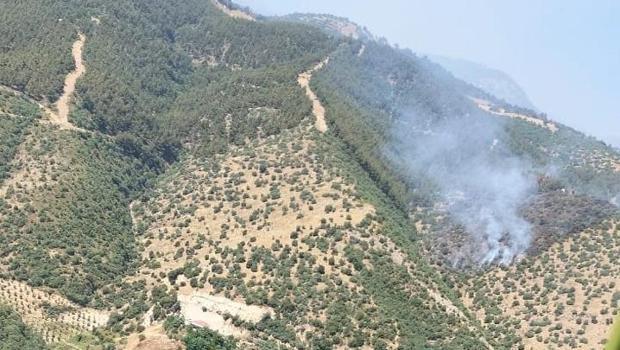 Manisa'da orman yangını: Havadan ve karadan müdahale ediliyor