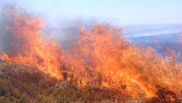 Meteoroloji'den orman yangını uyarısı