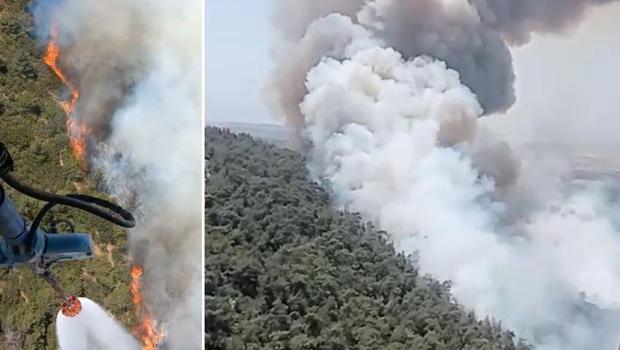 Son dakika... İzmir Foça'da orman yangını! Alevler bazı evlere sıçradı