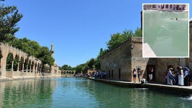 Tarihi Balıklıgöl’de yüzmeye ceza!