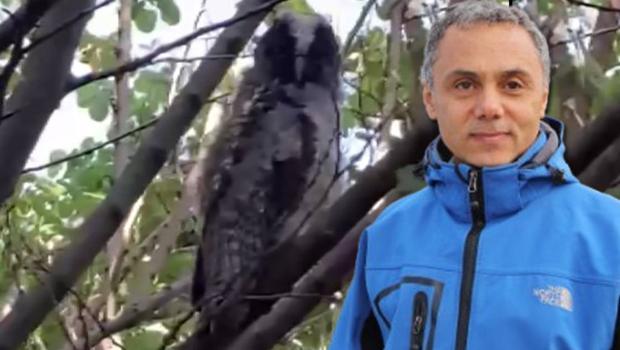 'Evinizin çevresinde görürseniz sevinin' deyip uyardı: Sakın zarar vermeyin